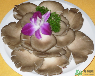 平菇是發(fā)物嗎？平菇是不是發(fā)物？