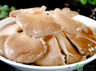 平菇是發(fā)物嗎？平菇是不是發(fā)物？