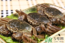 寶寶能吃螃蟹嗎？寶寶可以吃螃蟹肉嗎？