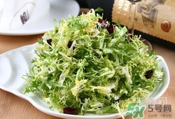 苦菊可以減肥嗎？苦菊怎么吃可以減肥？