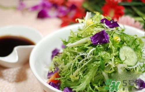 苦菊可以減肥嗎？苦菊怎么吃可以減肥？