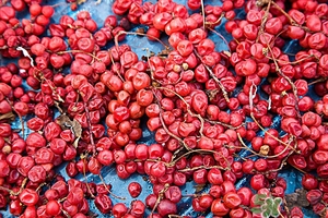 五味子茶韓國怎么喝？五味子茶的五種味道代表什么？