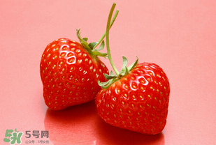 冬天有草莓嗎？冬天的草莓能吃嗎？