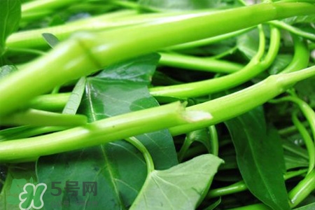 冬天可以吃空心菜嗎？冬天排毒多吃空心菜