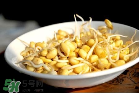 冬天可以發(fā)豆芽嗎？冬天怎樣發(fā)黃豆芽？