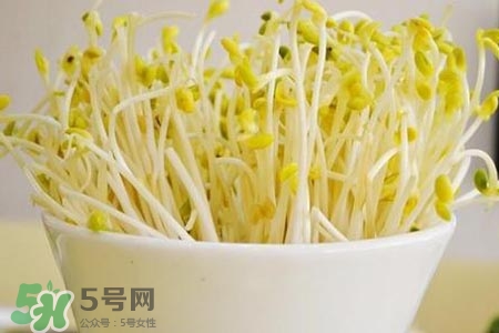 冬天可以發(fā)豆芽嗎？冬天怎樣發(fā)黃豆芽？