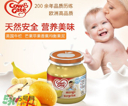 輔食泥哪個牌子好？輔食泥排行榜