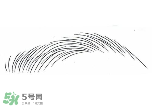 掉眉毛是怎么回事？掉眉毛還會長嗎？