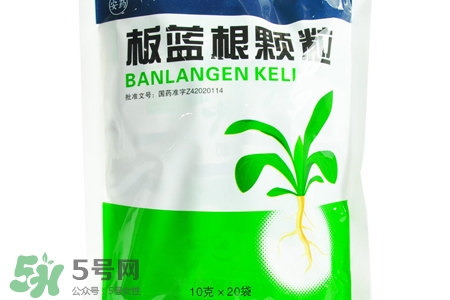 板藍根能天天喝嗎？板藍根可以經(jīng)常喝嗎？