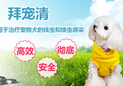 拜寵清要怎么喂？拜寵清驅(qū)蟲藥說明書