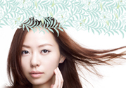 泊美這個(gè)牌子怎么樣？泊美是哪個(gè)國家的品牌？