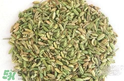 小茴香來(lái)月經(jīng)可以吃嗎？來(lái)月經(jīng)可以吃小茴香嗎？