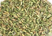 小茴香是孜然嗎？小茴香和孜然的區(qū)別