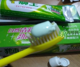 lion獅王是什么牌子？獅王是哪個國家的什么檔次？