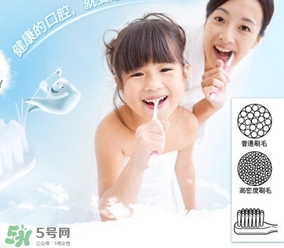 獅王牙刷怎么辨別真假？獅王牙刷真假對比