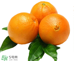 新鮮橙子皮可以泡水喝嗎？新鮮橙子皮的功效與作用