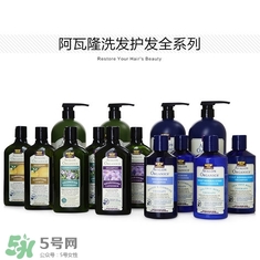 洗發(fā)水什么牌子好？洗發(fā)水2017品牌排行榜