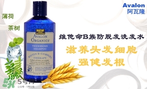 洗發(fā)水什么牌子好？洗發(fā)水2017品牌排行榜