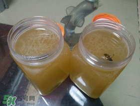 冬蜜多少錢一斤？冬蜜如何辨別真假？