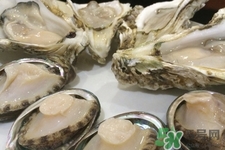 喝生蠔湯有什么好處?生蠔湯的做法 喝生蠔湯有什么好處?生蠔湯的做法