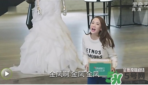 凡茜是什么牌子？凡茜是哪個(gè)國家的品牌什么檔次？