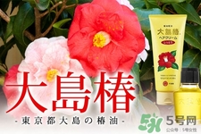 大島椿護(hù)發(fā)精油多少錢(qián)？大島椿護(hù)發(fā)精油日本價(jià)格