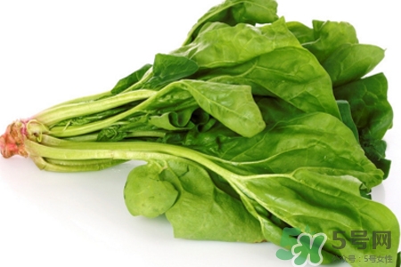 吃菠菜能喝牛奶嗎？菠菜和牛奶能一起吃嗎？