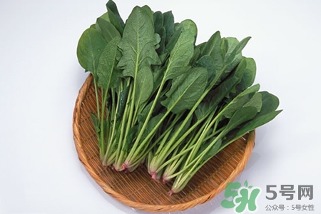 吃菠菜能喝牛奶嗎？菠菜和牛奶能一起吃嗎？