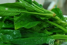 吃菠菜能喝牛奶嗎？菠菜和牛奶能一起吃嗎？