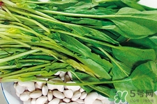 菠菜不能和什么一起吃？菠菜和什么食物相克嗎？