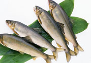 咽喉炎可以吃魚嗎？咽喉炎吃魚有什么好處？