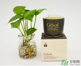 姬存希是哪個(gè)國(guó)家的？姬存希是哪里產(chǎn)的？