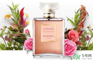 香奈兒黑coco香水和白coco香水哪個好？香奈兒黑可可和白可可選擇