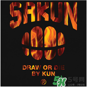 sakun是大品牌嗎？sakun是什么牌子