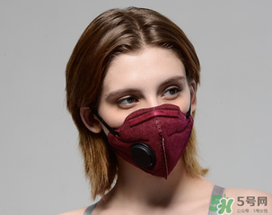 pm2.5口罩多少錢？pm2.5口罩價(jià)格