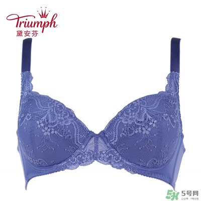 黛安芬內(nèi)衣怎么樣？黛安芬內(nèi)衣價(jià)格圖片