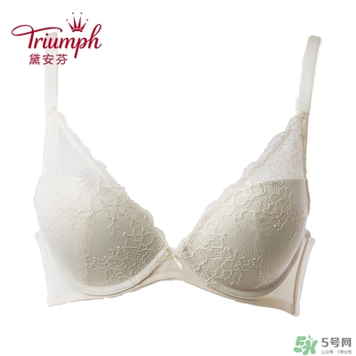 黛安芬內(nèi)衣怎么樣？黛安芬內(nèi)衣價格圖片