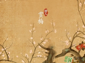 臘八節(jié)出生的女寶寶怎么取名？臘八節(jié)出生的男寶寶怎么取名？