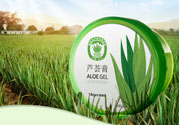 雅麗潔蘆薈膠多少錢？雅麗潔蘆薈膠好不好？