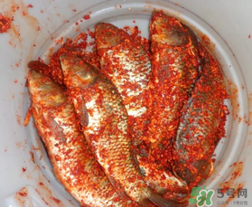 腌魚放多少鹽？腌魚放鹽的比例