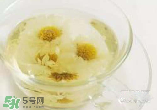 菊花茶什么時(shí)候喝最好？菊花茶什么季節(jié)喝最好？
