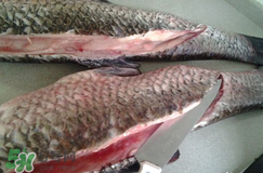 新鮮魚(yú)怎么腌制咸魚(yú)塊？咸魚(yú)塊怎么腌制