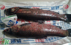 新鮮魚(yú)怎么腌制咸魚(yú)塊？咸魚(yú)塊怎么腌制