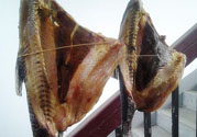 新鮮魚(yú)怎么腌制咸魚(yú)塊？咸魚(yú)塊怎么腌制