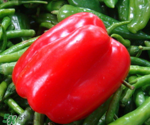辣椒變紅能吃嗎？辣椒為什么會變紅？