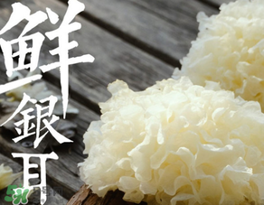 新鮮銀耳有毒嗎？新鮮銀耳怎么去毒？
