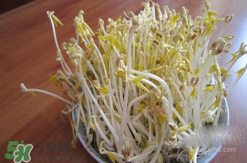 豆芽糖尿病可以吃嗎？糖尿病吃豆芽有什么好處？