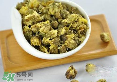 金銀花和菊花哪個去火效果好一些？金銀花和菊花茶哪個好？