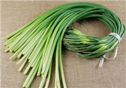 蒜苔的營養(yǎng)價(jià)值 蒜苔的功效與作用