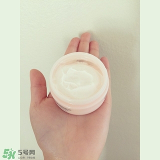 the body shop維e晚霜怎么用？美體小鋪維e晚霜使用方法